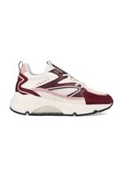 Cruyff Madina Bold CC223983-301 Bordeaux / Wit  maat - thumbnail