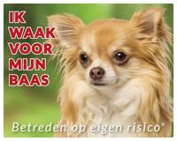 Chihuahua Langhaar Blond Waakbord