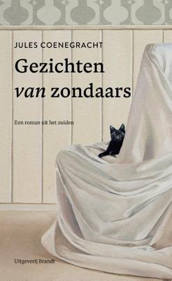 Gezichten van zondaars (Paperback)