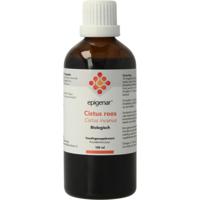 Epigenar Cistus incanus tinctuur bio