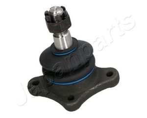 Fuseekogel BJ313
