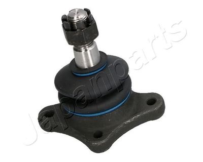 Fuseekogel BJ313