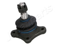 Fuseekogel BJ313