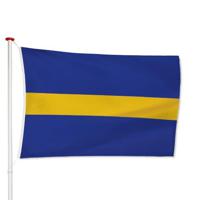 Vlag Borne