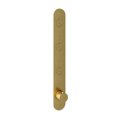 Hotbath Cobber afbouwdeel inbouwthermostaat met 3 pushbuttons verticale plaatsing geborsteld messing (goud) PVD PB050EXTBBP