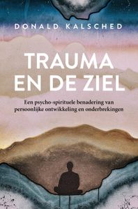 Trauma en de ziel - Donald Kalsched - ebook