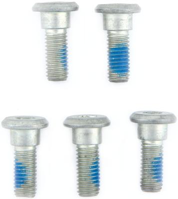 TRW Screw set 5pcs. m8x1,25