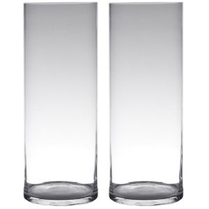 Set van 2x stuks transparante home-basics cylinder vorm vaas/vazen van glas 50 x 19 cm