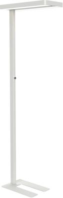 MAULjuvis vloerlamp, LED, wit