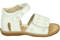 Falcotto MAYA 2 - alle