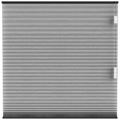 Leen Bakker - Fenstr Plisségordijn Brisbane Dubbel 25mm Lichtdoorlatend - Antraciet (20712) - Polyester - Grijs - 120x10x10 Cm