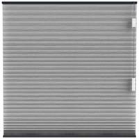 Leen Bakker - Fenstr Plisségordijn Brisbane Dubbel 25mm Lichtdoorlatend - Antraciet (20712) - Polyester - Grijs - 120x10x10 Cm