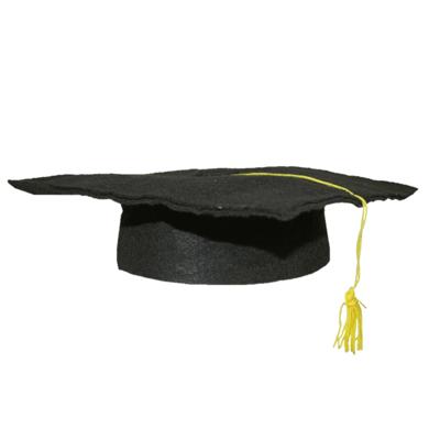 Geslaagd thema hoedje voor kinderen - verkleed feestartikelen - afstudeer hoedje - zwart