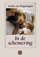 In de schemering (Hardback)