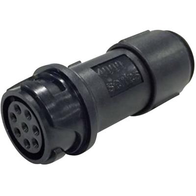 Bulgin PXP4011/08S/6065 Ronde connector Koppeling, recht Totaal aantal polen: 8 Serie (ronde connectoren): Buccaneer 4000 1 stuk(s)