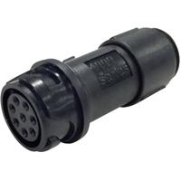 Bulgin PXP4011/08S/6065 Ronde connector Koppeling, recht Totaal aantal polen: 8 Serie (ronde connectoren): Buccaneer 4000 1 stuk(s)