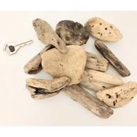 Papoose Toys Papoose Toys Small Driftwood/10pc - thumbnail