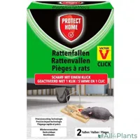 Protect Home Rattenval Plastic - Ongediertebestrijding - 2 stuks