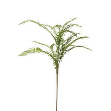 Fern boston mix spray 60 cm - Emerald
