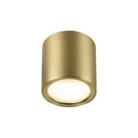 SLV OpbouwspotOculus goud - 1008619