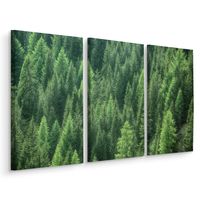 Prachtig Dennenbos, groene wanddecoratie, 3 luik, premium print