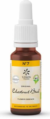 Lemon Pharma Bach NO.7 Chestnut Bud Lemon Pharma Bach NO.7 Chestnut Bud