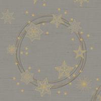Duni Kerst thema servetten - 12x - 40 x 40 cm - papier - grijs met gouden sterren