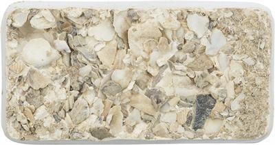 TRIXIE PIKSTEEN MET SCHELPEN MINERALEN EN MOSSELEN