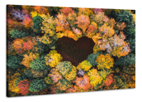 Karo-art Schilderij -Hart in het Bos, Liefde,  100x70cm, Premium print - thumbnail