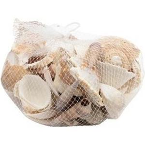 Schelpen - decoratie - hobby - 400 gram - 80 schelpjes - beige