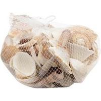 Schelpen - decoratie - hobby - 400 gram - 80 schelpjes - beige