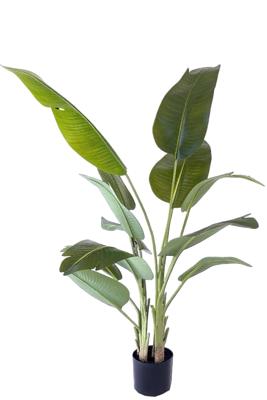 Kunstplant Strelitzia 200cm