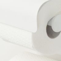 Sealskin Brix toiletrolhouder 2-rollen met planchet wit - thumbnail