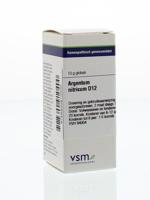 VSM Argentum nitricum D12 10 Gram