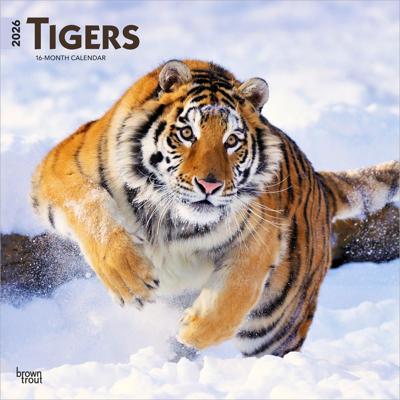 Tijger Kalender 2026