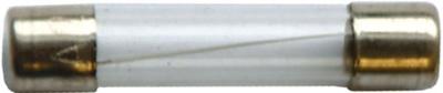 SPAHN glass fuses 8a 6x32 mm (10pcs)