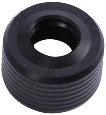 RMS Simmerring 8x16x10