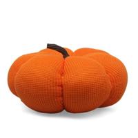 Halloween Decoraties 21 x 10 cm Oranje