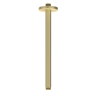 Plafondbuis IVY 30 cm 1/2 RVS316 Geborsteld Mat Goud PVD