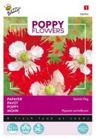 Poppies of the world papaver Deense vlag - Buzzy