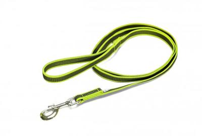 Antislip Hondenriem - 20mm x 2m - Met handvat - Neon