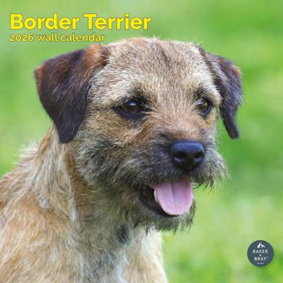 Border Terrier Kalender 2026 Border Terrier Kalender 2026