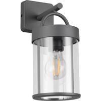 LED Wandlamp - Trion Noro - 1 Lichtpunt tot 28 Watt - E27-fitting - IP44 - Antraciet - Gegoten Aluminium