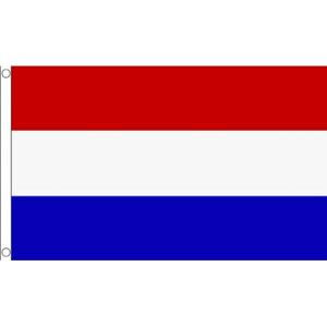 Klein formaat supporters landen vlag Nederland - 2x stuks - 60 x 90 cm - Landen feestartikelen - pol
