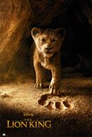 Poster Disney - El Lion King Simba Real Action 61x91,5cm