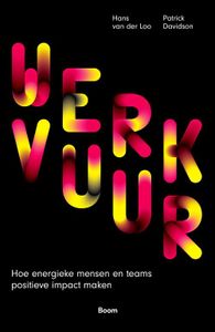 Werkvuur - Hans van der Loo, Patrick Davidson - ebook