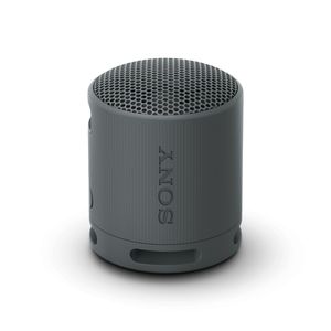 Sony SRS-XB100 Mono draadloze luidspreker Zwart