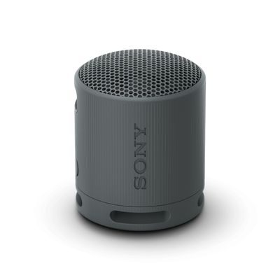 SonySRS-XB100 Bluetooth speaker Zwart