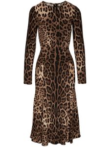 Dolce & Gabbana robe mi-longue à imprimé léopard - Marron