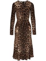 Dolce & Gabbana robe mi-longue à imprimé léopard - Marron